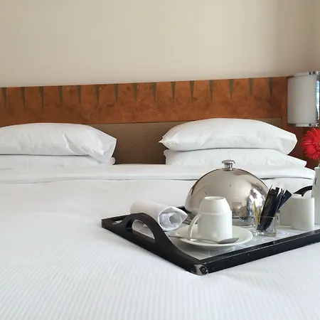 希尔顿慕尼黑机场酒店 Schwaig bei Nürnberg